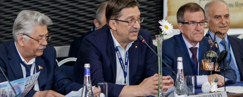 Макула 2016